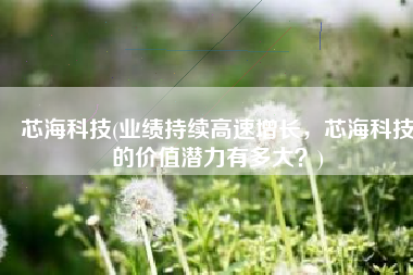 芯海科技(业绩持续高速增长，芯海科技的价值潜力有多大？)