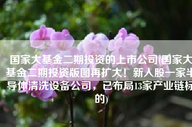 国家大基金二期投资的上市公司(国家大基金二期投资版图再扩大！新入股一家半导体清洗设备公司，已布局13家产业链标的)