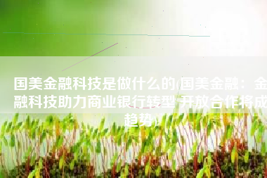 国美金融科技是做什么的(国美金融：金融科技助力商业银行转型 开放合作将成趋势)