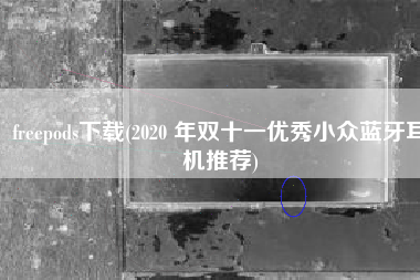 freepods下载(2020 年双十一优秀小众蓝牙耳机推荐)