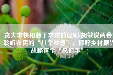 贪大求快和急于求成的区别(胡敏说两会：聆听农民的“八个梦想”，抓好乡村振兴战略这个“总抓手”)