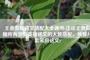 王者荣耀铭文搭配大全通用(浅谈王者荣耀所有类型英雄铭文的大致搭配，推荐八套常用铭文)