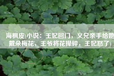 海枫皮(小说：王妃回门，义兄亲手给她戴朵梅花，王爷将花撵碎，王妃怒了)