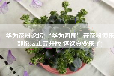 华为花粉论坛(“华为河图”在花粉俱乐部论坛正式开版 这次真要来了)