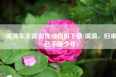 滴滴车主滴滴优步司机下载(滴滴，归来已不是少年)
