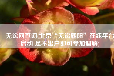 无讼网查询(北京“无讼朝阳”在线平台启动 足不出户即可参加调解)
