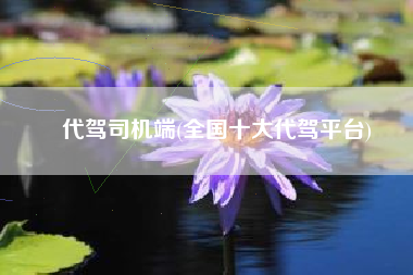 代驾司机端(全国十大代驾平台)