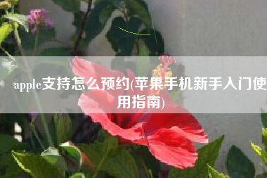apple支持怎么预约(苹果手机新手入门使用指南)