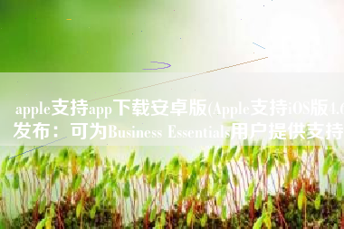 apple支持app下载安卓版(Apple支持iOS版4.6发布：可为Business Essentials用户提供支持)