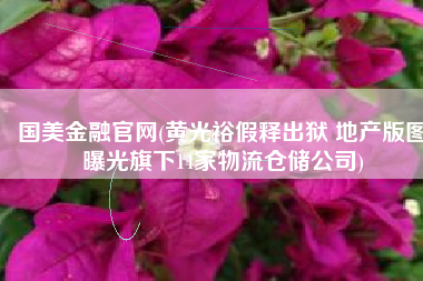 国美金融官网(黄光裕假释出狱 地产版图曝光旗下14家物流仓储公司)