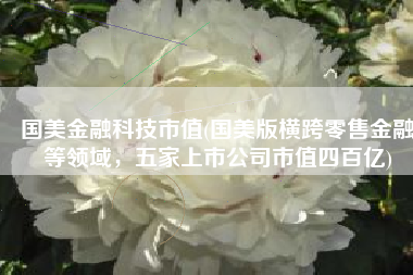 国美金融科技市值(国美版横跨零售金融等领域，五家上市公司市值四百亿)