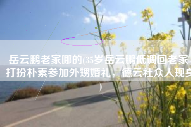 岳云鹏老家哪的(35岁岳云鹏低调回老家，打扮朴素参加外甥婚礼，德云社众人现身)