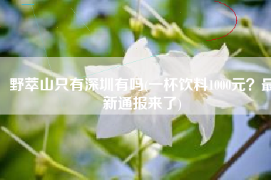 野萃山只有深圳有吗(一杯饮料1000元？最新通报来了)