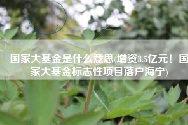 国家大基金是什么意思(增资3.5亿元！国家大基金标志性项目落户海宁)