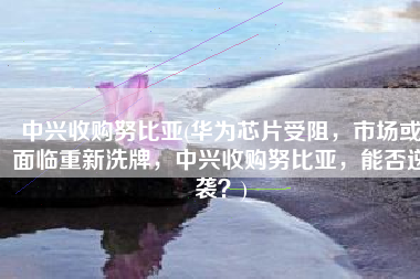 中兴收购努比亚(华为芯片受阻，市场或面临重新洗牌，中兴收购努比亚，能否逆袭？)