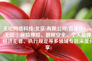 无讼网络科技(北京)有限公司(省律协&无讼 | 保险理赔、数据安全、个人品牌、经济犯罪、执行规定等多领域专题深度分享)