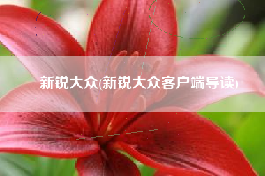 新锐大众(新锐大众客户端导读)