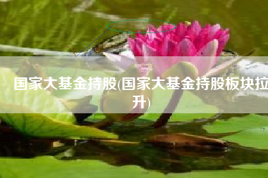 国家大基金持股(国家大基金持股板块拉升)