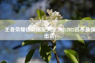 王者荣耀铭文搭配大全2022(2022吕布最强出装)