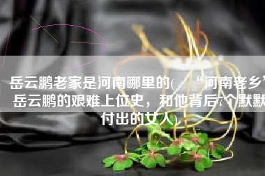 岳云鹏老家是河南哪里的(​“河南老乡”岳云鹏的艰难上位史，和他背后7个默默付出的女人)