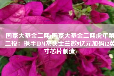 国家大基金二期(国家大基金二期虎年第二投：携手IDM龙头士兰微9亿元加码12英寸芯片制造)