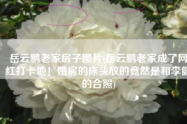 岳云鹏老家房子图片(岳云鹏老家成了网红打卡地！婚房的床头放的竟然是和李健的合照)