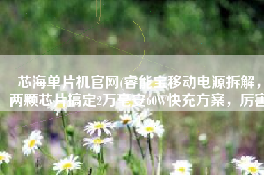 芯海单片机官网(睿能宝移动电源拆解，两颗芯片搞定2万毫安60W快充方案，厉害)