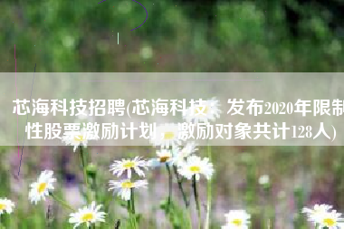 芯海科技招聘(芯海科技：发布2020年限制性股票激励计划，激励对象共计128人)