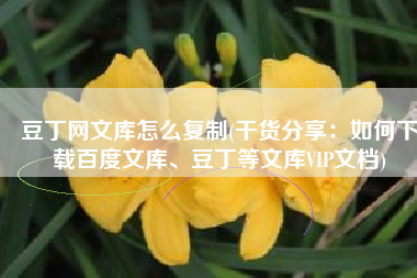 豆丁网文库怎么复制(干货分享：如何下载百度文库、豆丁等文库VIP文档)