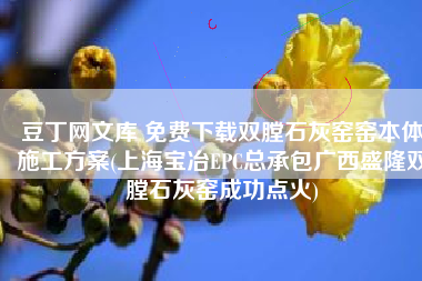豆丁网文库 免费下载双膛石灰窑窑本体施工方案(上海宝冶EPC总承包广西盛隆双膛石灰窑成功点火)