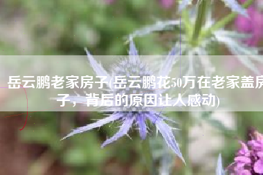 岳云鹏老家房子(岳云鹏花50万在老家盖房子，背后的原因让人感动)