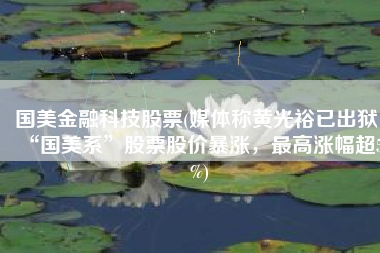 国美金融科技股票(媒体称黄光裕已出狱，“国美系”股票股价暴涨，最高涨幅超50%)