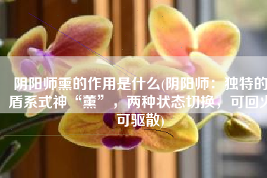 阴阳师熏的作用是什么(阴阳师：独特的盾系式神“薰”，两种状态切换，可回火可驱散)