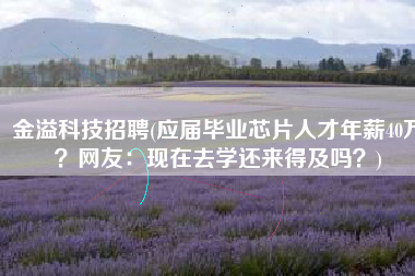 金溢科技招聘(应届毕业芯片人才年薪40万？网友：现在去学还来得及吗？)