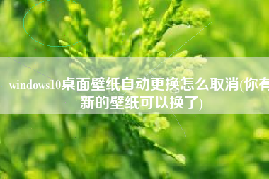 windows10桌面壁纸自动更换怎么取消(你有新的壁纸可以换了)
