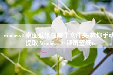 windows10桌面壁纸在哪个文件夹(教你手动提取 Windows 10 锁屏壁纸)