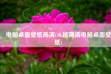电脑桌面壁纸高清(4K超高清电脑桌面壁纸)