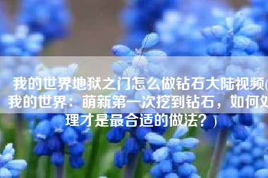 我的世界地狱之门怎么做钻石大陆视频(我的世界：萌新第一次挖到钻石，如何处理才是最合适的做法？)