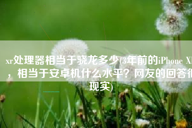 xr处理器相当于骁龙多少(3年前的iPhone XR，相当于安卓机什么水平？网友的回答很现实)