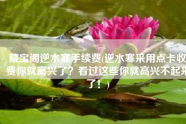 藏宝阁逆水寒手续费(逆水寒采用点卡收费你就高兴了？看过这些你就高兴不起来了！)