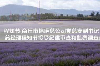 程知节(商丘市棉麻总公司党总支副书记、总经理程知节接受纪律审查和监察调查)