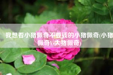 我想看小猪佩奇不要钱的小猪佩奇(小猪佩奇Vs大猪佩奇)