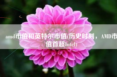amd市值和英特尔市值(历史时刻，AMD市值首超Intel)