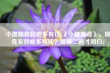 小猪佩奇到底多有钱(《小猪佩奇》，佩奇家到底多有钱？看第二遍才明白)