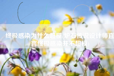 终极感染为什么超模(炉石传说设计师直言终极感染并不超模)