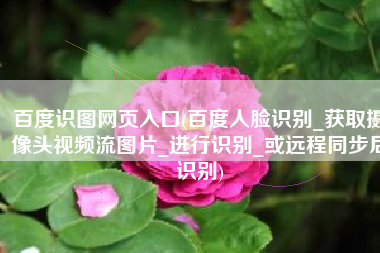 百度识图网页入口(百度人脸识别_获取摄像头视频流图片_进行识别_或远程同步后识别)