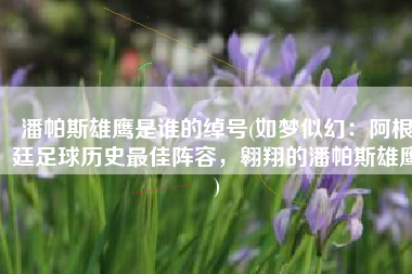潘帕斯雄鹰是谁的绰号(如梦似幻：阿根廷足球历史最佳阵容，翱翔的潘帕斯雄鹰)