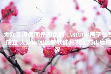 大众交通集团是国企吗(CARIAD中国子公司成立 大众集团区域软件开发实力再度增强)