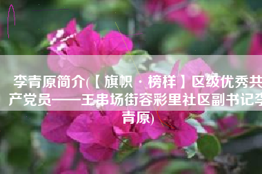 李青原简介(【旗帜·榜样】区级优秀共产党员——王串场街容彩里社区副书记李青原)