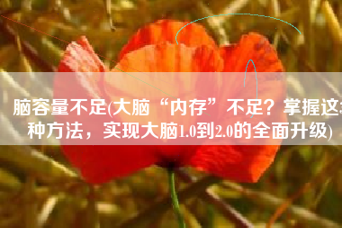 脑容量不足(大脑“内存”不足？掌握这3种方法，实现大脑1.0到2.0的全面升级)